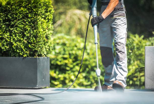 Best Sidewalk and Walkway Cleaning  in El Macero, CA